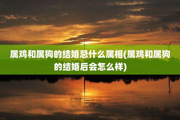 属鸡和属狗的结婚忌什么属相(属鸡和属狗的结婚后会怎么样)