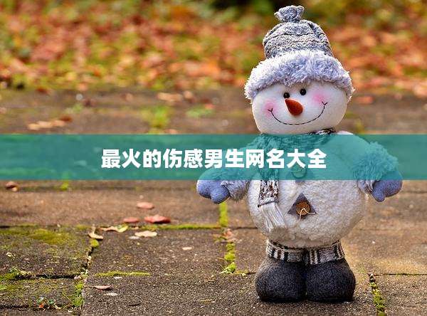最火的伤感男生网名大全