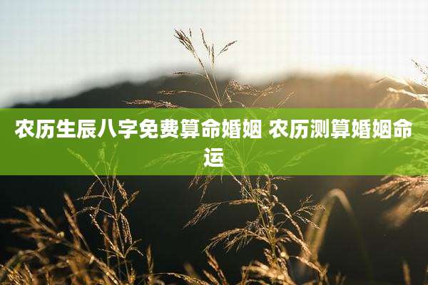 农历生辰八字免费算命婚姻 农历测算婚姻命运