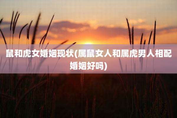 鼠和虎女婚姻现状(属鼠女人和属虎男人相配婚姻好吗)