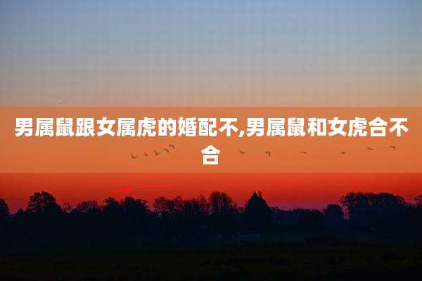 男属鼠跟女属虎的婚配不,男属鼠和女虎合不合