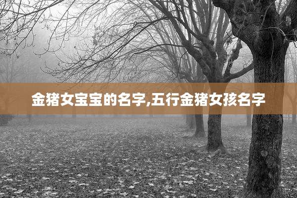 金猪女宝宝的名字,五行金猪女孩名字