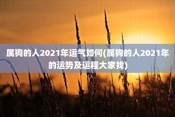 属狗的人2021年运气如何(属狗的人2021年的运势及运程大家找)
