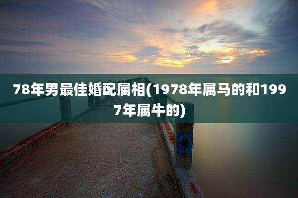 78年男最佳婚配属相(1978年属马的和1997年属牛的)