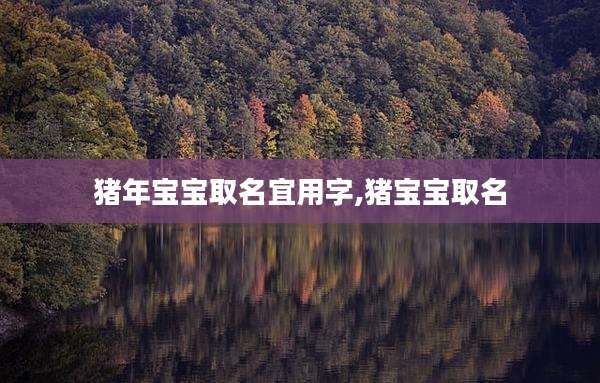 猪年宝宝取名宜用字,猪宝宝取名