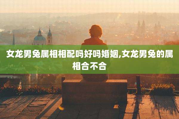 女龙男兔属相相配吗好吗婚姻,女龙男兔的属相合不合