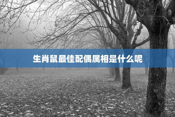 生肖鼠最佳配偶属相是什么呢