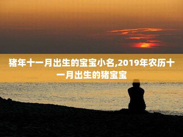 猪年十一月出生的宝宝小名,2019年农历十一月出生的猪宝宝
