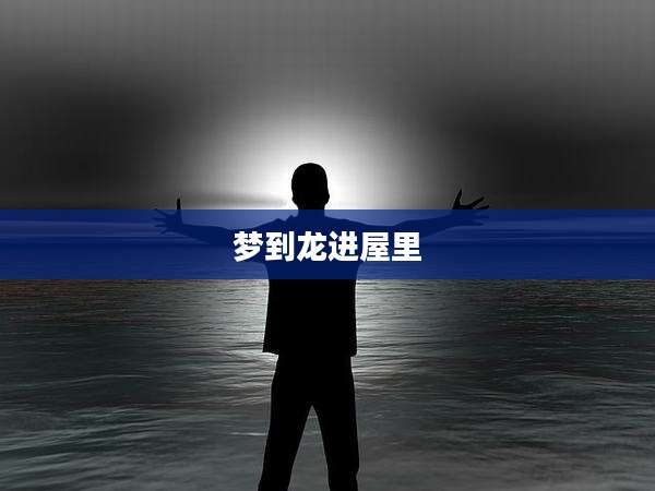 梦到龙进屋里
