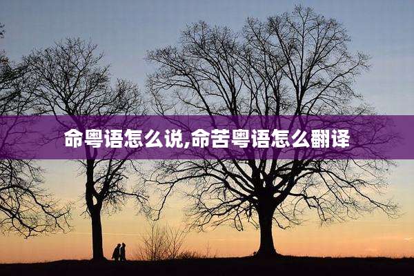 命粤语怎么说,命苦粤语怎么翻译
