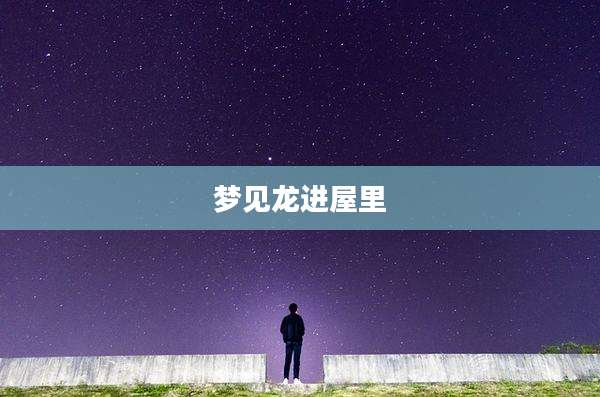 梦见龙进屋里