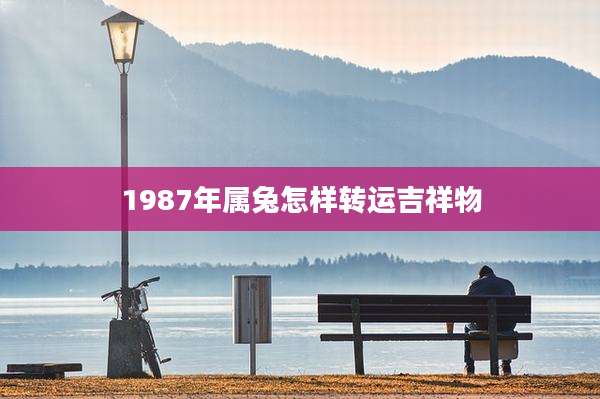1987年属兔怎样转运吉祥物