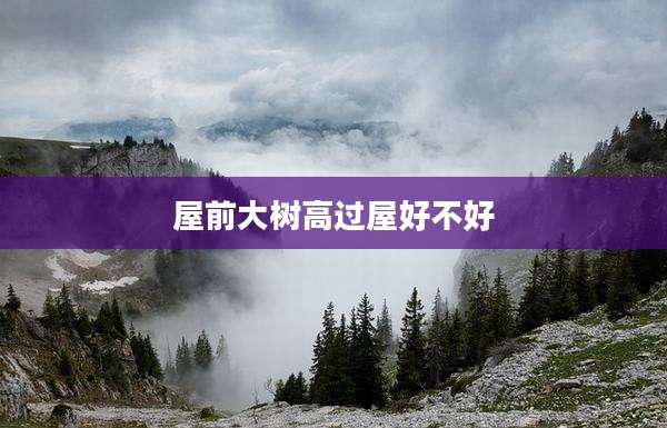 屋前大树高过屋好不好