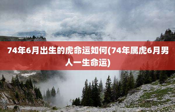 74年6月出生的虎命运如何(74年属虎6月男人一生命运)