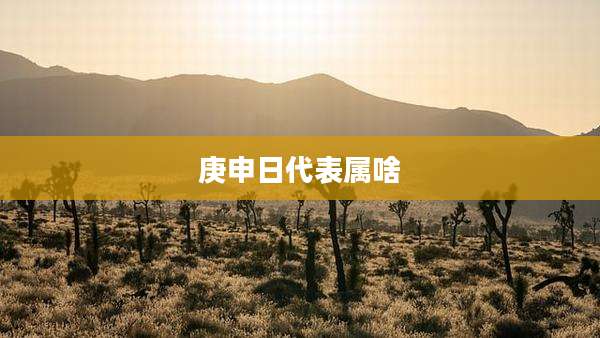 庚申日代表属啥
