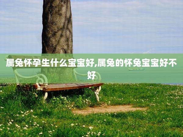 属兔怀孕生什么宝宝好,属兔的怀兔宝宝好不好