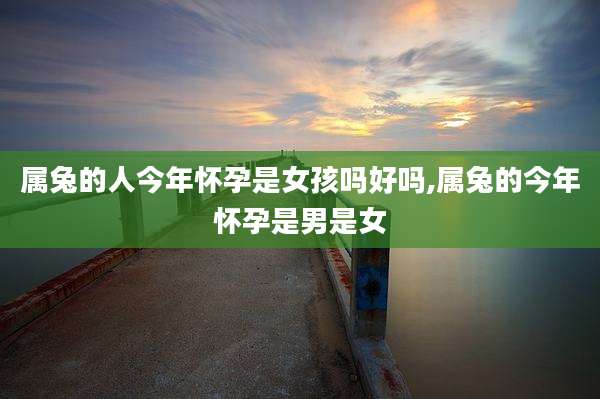 属兔的人今年怀孕是女孩吗好吗,属兔的今年怀孕是男是女