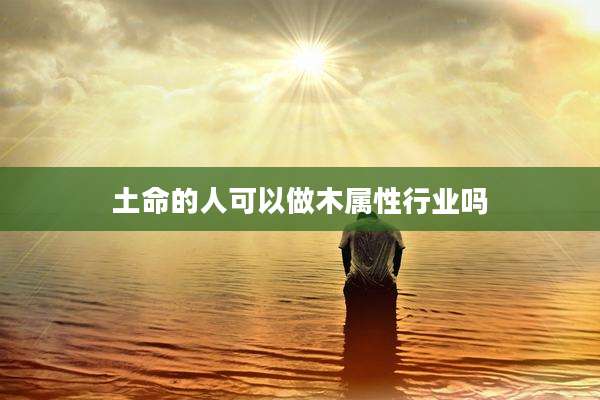 土命的人可以做木属性行业吗