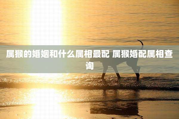 属猴的婚姻和什么属相最配 属猴婚配属相查询