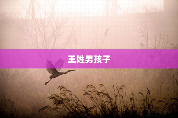 王姓男孩子