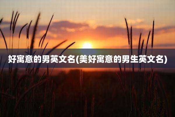 好寓意的男英文名(美好寓意的男生英文名)