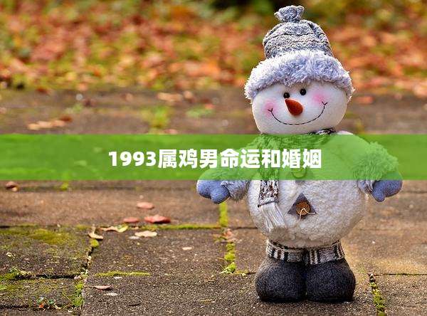 1993属鸡男命运和婚姻