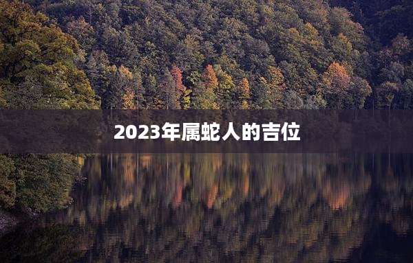 2023年属蛇人的吉位