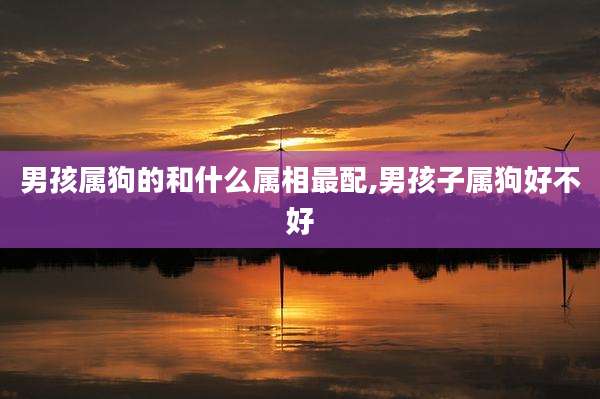 男孩属狗的和什么属相最配,男孩子属狗好不好