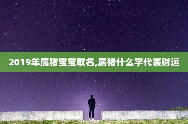 2019年属猪宝宝取名,属猪什么字代表财运