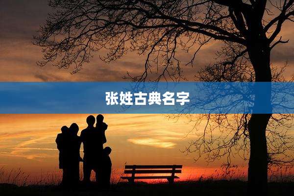 张姓古典名字