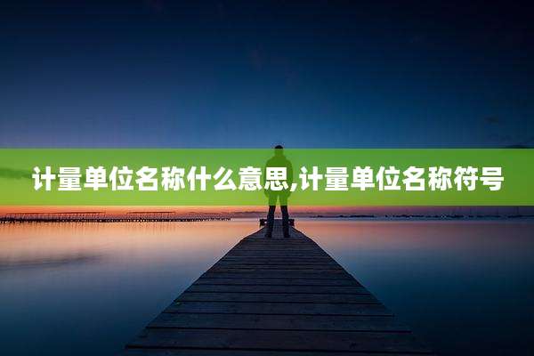 计量单位名称什么意思,计量单位名称符号