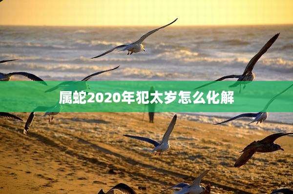 属蛇2020年犯太岁怎么化解