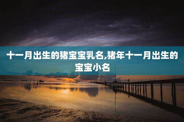 十一月出生的猪宝宝乳名,猪年十一月出生的宝宝小名