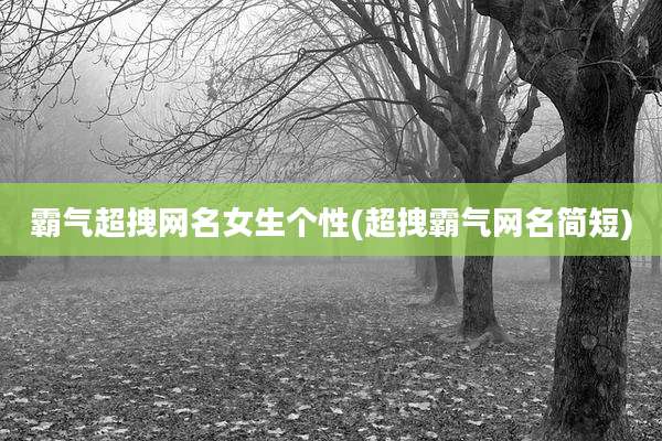 霸气超拽网名女生个性(超拽霸气网名简短)