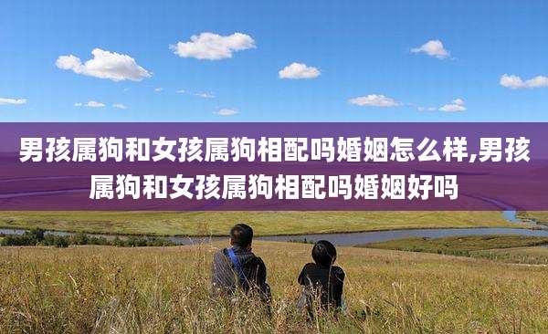 男孩属狗和女孩属狗相配吗婚姻怎么样,男孩属狗和女孩属狗相配吗婚姻好吗