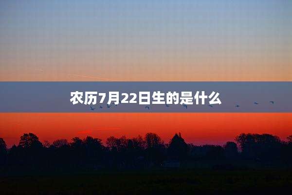 农历7月22日生的是什么