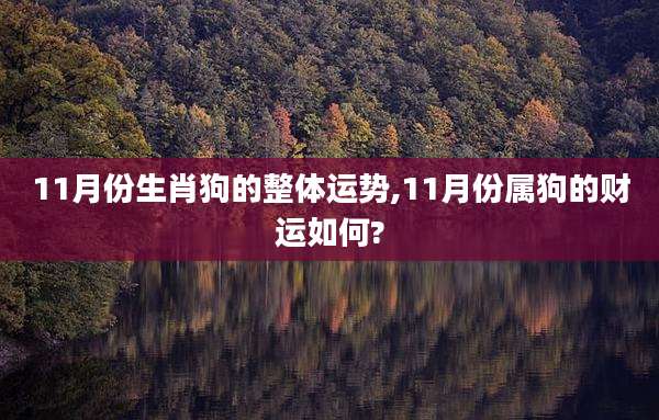 11月份生肖狗的整体运势,11月份属狗的财运如何?