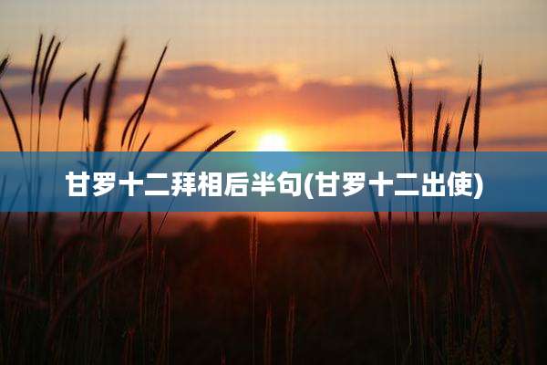 甘罗十二拜相后半句(甘罗十二出使)