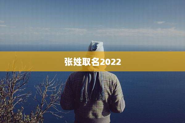 张姓取名2022