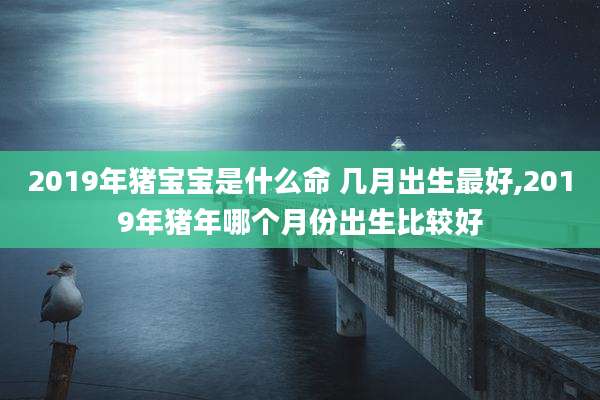 2019年猪宝宝是什么命 几月出生最好,2019年猪年哪个月份出生比较好