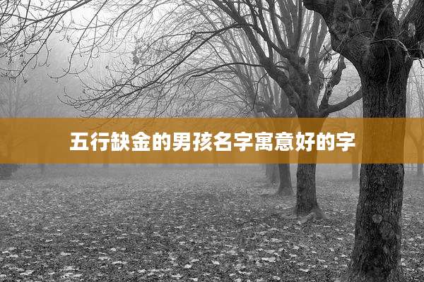 五行缺金的男孩名字寓意好的字
