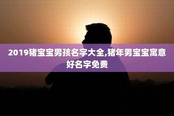 2019猪宝宝男孩名字大全,猪年男宝宝寓意好名字免费