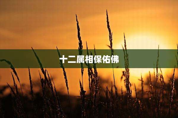 十二属相保佑佛