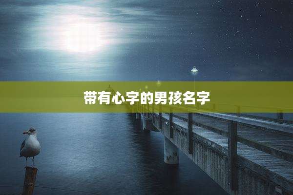 带有心字的男孩名字
