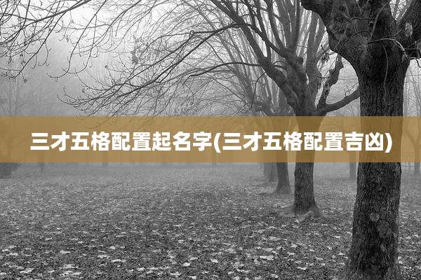 三才五格配置起名字(三才五格配置吉凶)