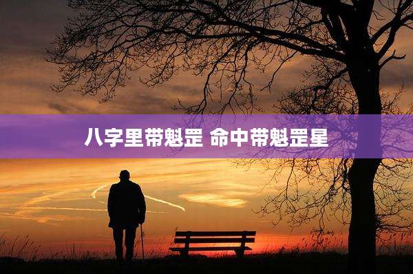 八字里带魁罡 命中带魁罡星