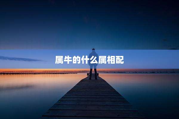 属牛的什么属相配