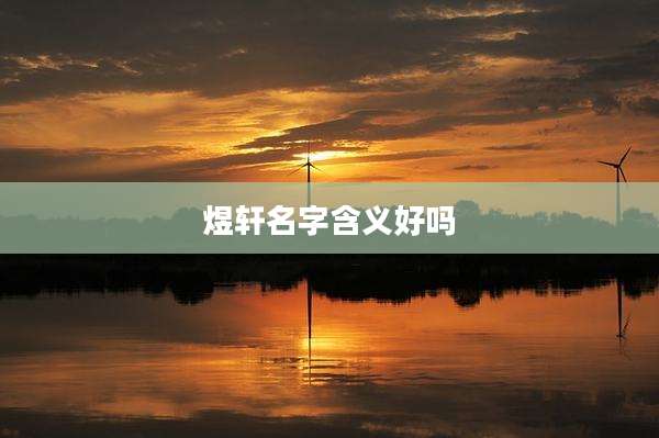 煜轩名字含义好吗