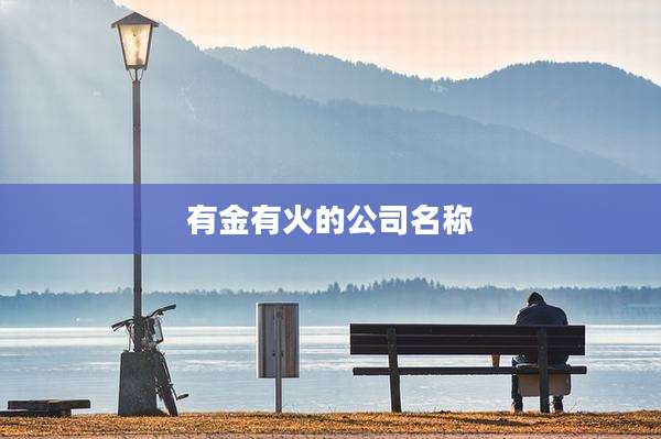 有金有火的公司名称