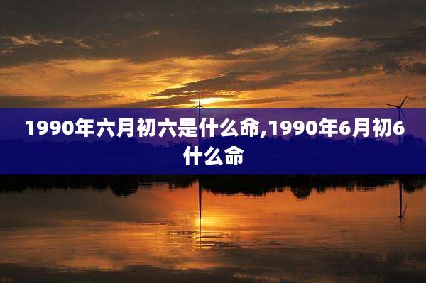 1990年六月初六是什么命,1990年6月初6什么命